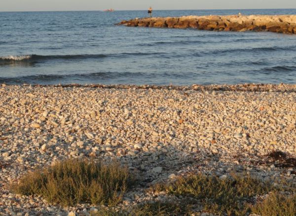 En la desembocadura del Girona. Foto R.Puig