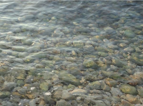 En  la orilla  de la Almadrava. Foto   R.Puig