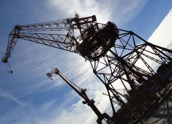 Insectos. Foto R.Puig