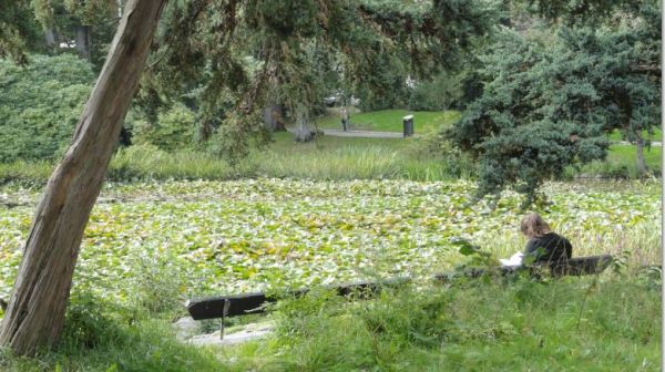 Lectura. Foto R.Puig