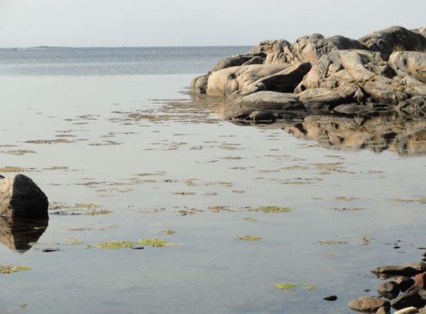 Luz de tarde de otoño. Foto R.Puig