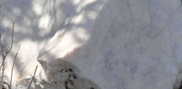 Roca caliza en las alturas de la Vall de Ebo  Foto R.Puig