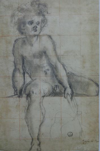 studio de muchacho sentado para La Villa Medicea de Poggio a Caiano. Jacopo Pontormo. Uffizi.