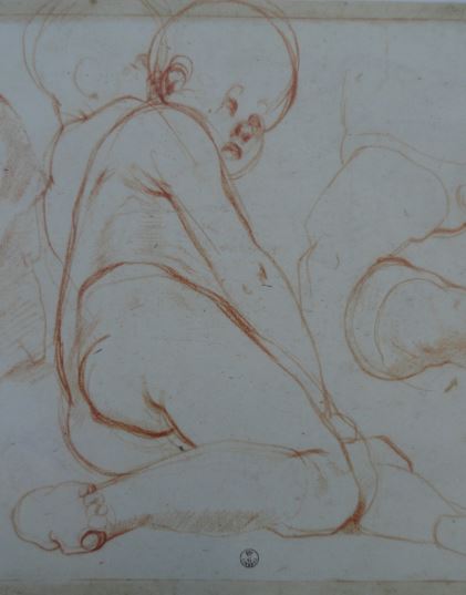 Estudio de putto. Jacopo Pontormo. Uffizi.