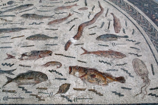 Peces mediterráneos. Mosaico romano. Museo del Bardo. Túnez. Fuente Wikimedia