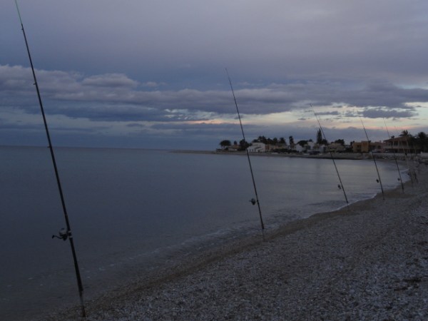 Con tanta caña alguno ha de caer. Foto R.Puig