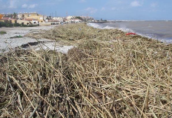 Despues del temporal del 2007.  Foto R.Puig
