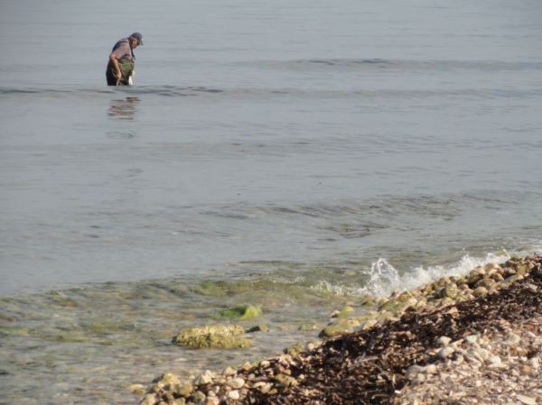 Pesca del pulpo. Foto R.Puig