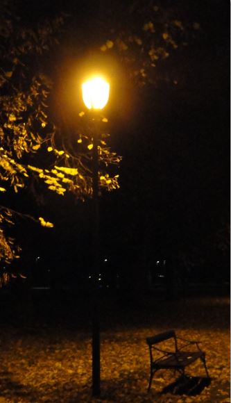 Por el parque. Foto R.Puig