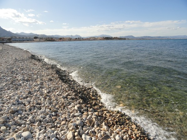 Transparencia. Foto R.Puig