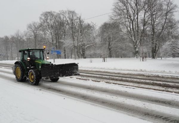 Algo si ha cuajado. F oto R.Puig