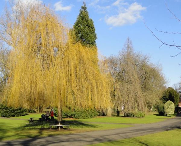 Abbey Park. Foto R.Puig