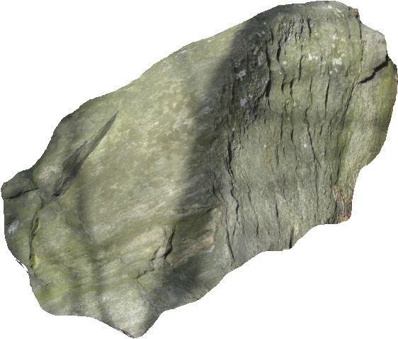 Saxum volvere. Foto R.Puig