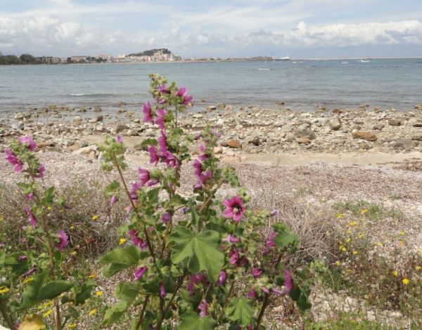 Por las orillas de las Rotes. Denia. Foto R.Puig