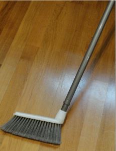 Escobita. Foto R.Puig