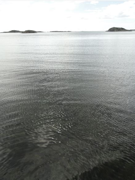 Eco de violines.  Foto  R.Puig