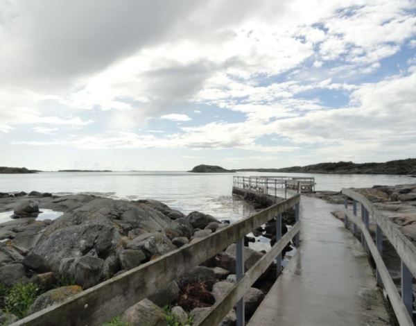 Esperando al calor.  Foto  R.Puig