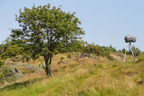 Hulda (Arbol híbrido).  Aluminio.  Linn Grannlund. 2015. Foto R.Puig