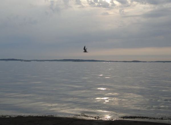 Un día entero.  Foto R.Puig