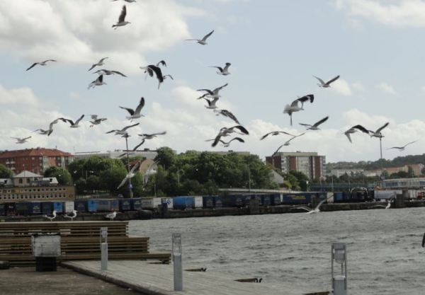 Vecinas de Gotemburgo. Foto R.Puig