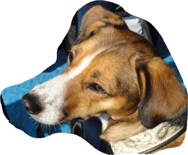 En la cubierta del Fantasia. Foto R.Puig