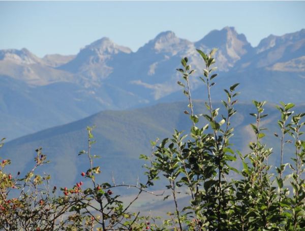 Jaca. En la subida a San Juan de la Peña. Foto R.Puig