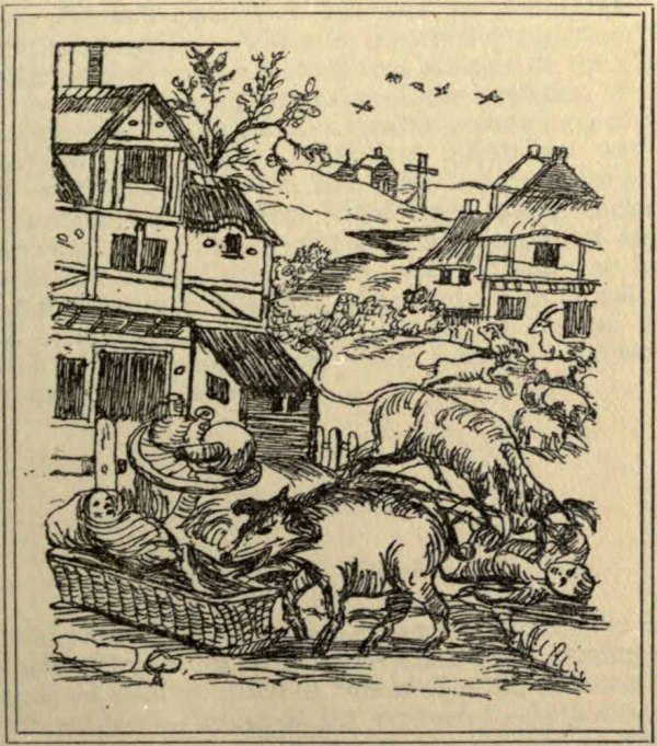 Animales asesinos. Evans