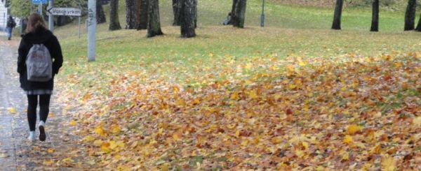 Días cálidos de otoño. Foto R.Puig