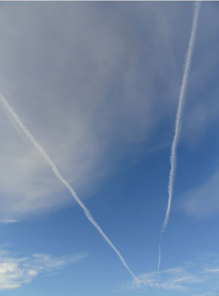 Divergencia o unión. Foto R.Puig