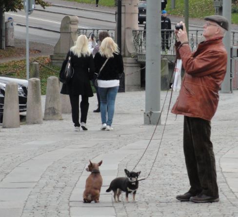 Fotografo otoñal. Foto R.Puig