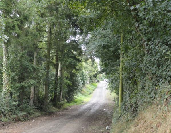 Lassy. Camino de bocage. Foto R.Puig