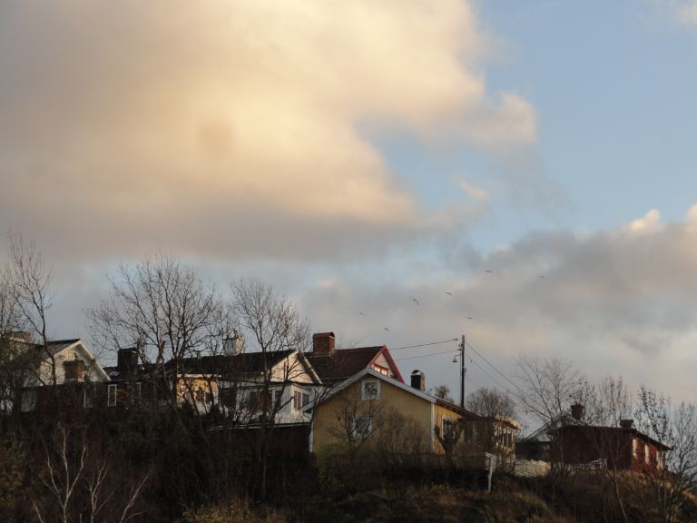 Ultima luz. Foto R.Puig