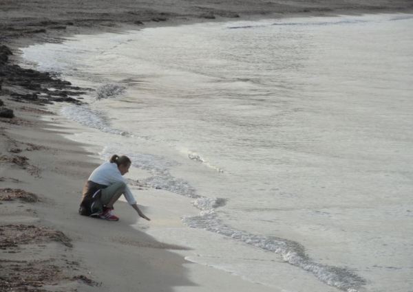 Esta templada. Foto R.Puig