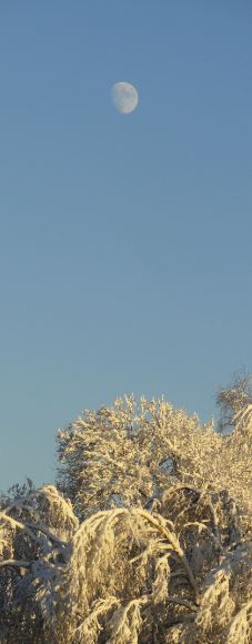 Conversación. Miraallén. Göteborg. Foto R.Puig