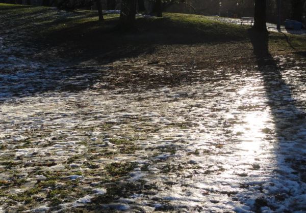 El parque en invierno. Foto R.Puig