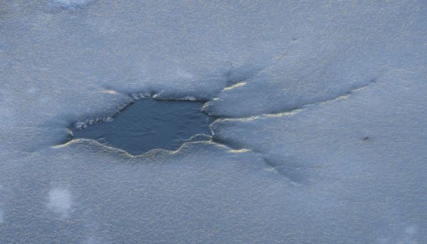 Formas del invierno. Foto R.Puig