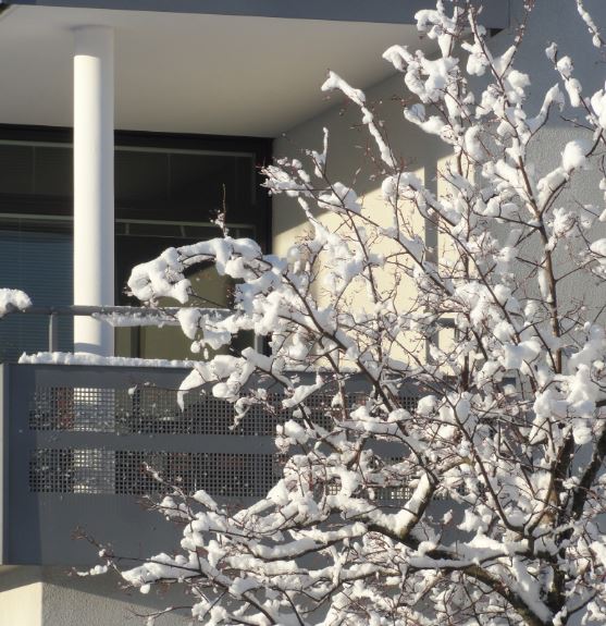 Mi balcón. Sannegårdshamnen. Göteborg. Foto R.Puig.