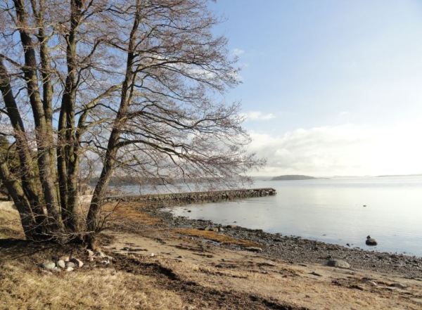Tarde de febrero frente al mar. Foto R.Puig