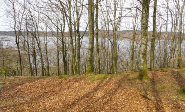 En los bosques de Åkulla. El Skärsjön. Halland. Foto R.Puig
