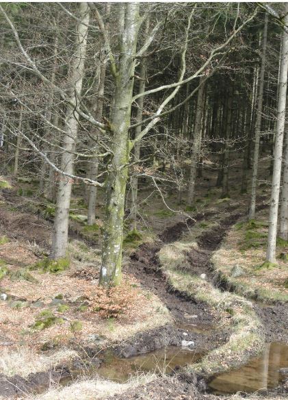 La huella. Åkulla. Halland. Foto R.Puig