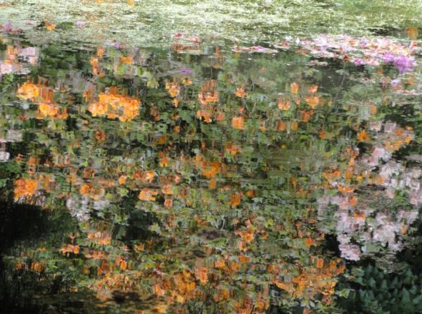 A Monet le hubiera gustado. Foto R.Puig