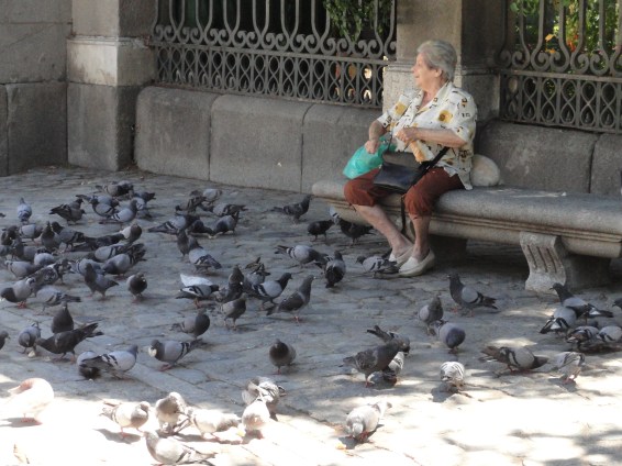 Pitas  pitas  pitas. Foto R.Puig