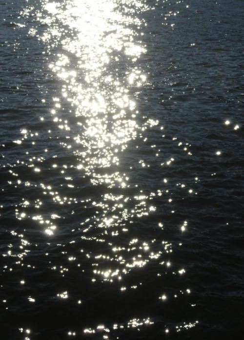 Chispas. Foto R.Puig