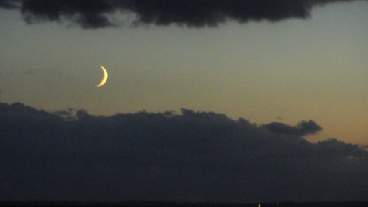 En su primer delgado creciente. Foto R.Puig