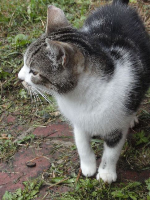Une chausseuse en attente. Foto R.Puig