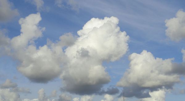 ...les tengo cariño porque son lentas y no son serias. Foto R.Puig