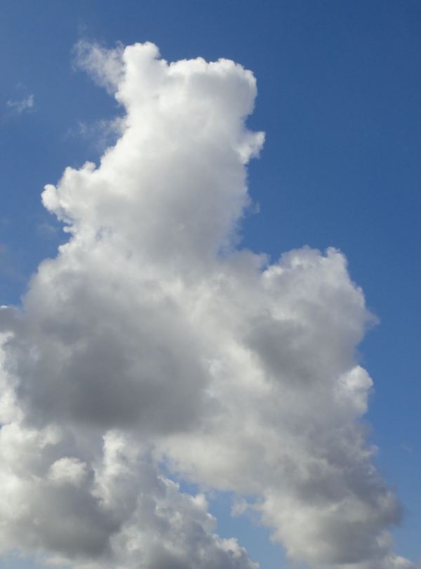 Puede que las nubes sean sueños que se tienen con los ojos abiertos. Foto R.Puig