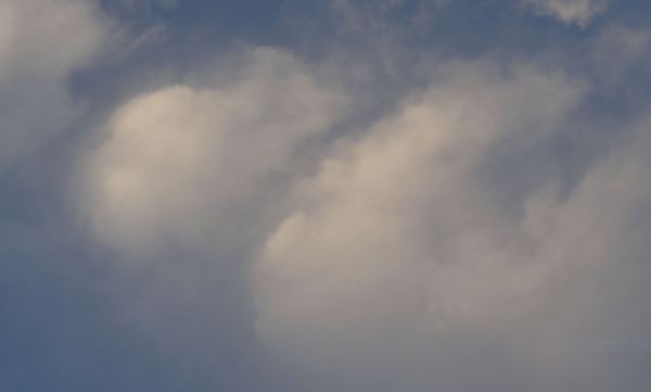 ...yendo, yendo, sin detenerse, sin saber adónde las lleva el viento. Foto R.Puig