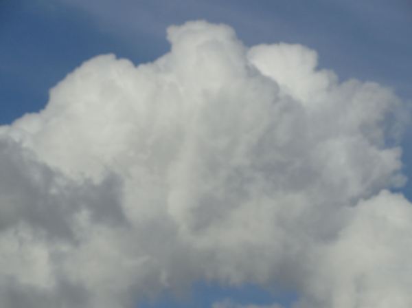 ...tus cavidades sombrías como cavernas, tus grandes valles silenciosos. Foto. R.Puig