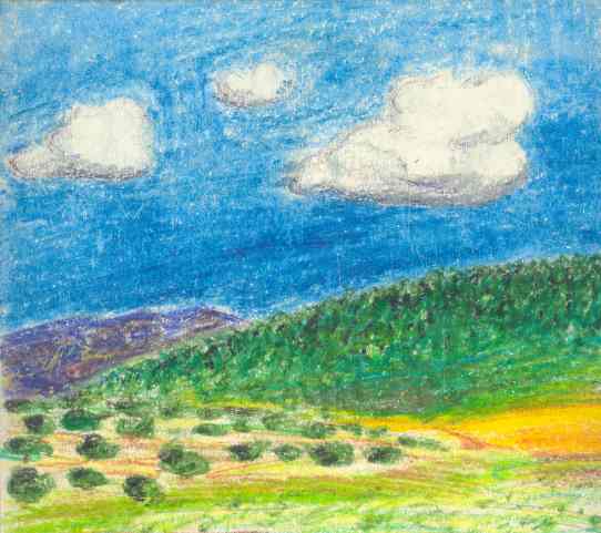 El tierras de Salamanca. Lápiz. Dibujo R.Puig 1974. Detalle